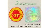 750 Mili Litre Özel Seri Natural Sızma Zeytin Yağı